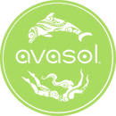 Avasol
