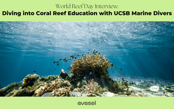 Diving into Coral Reef Education with UCSB Marine Research Divers