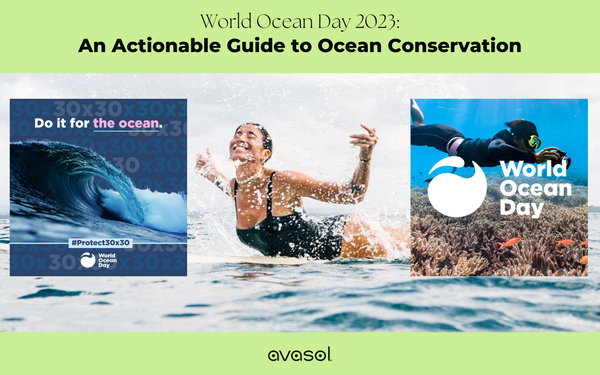 World Ocean Day 2023: An Actionable Guide to Ocean Conservation