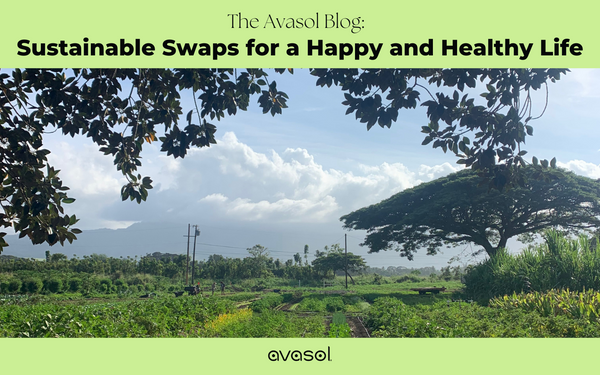 Sustainable Swaps for a Happy and Healthy Lifestyle