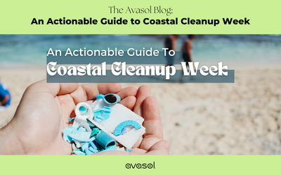 An Actionable Guide to Coastal Cleanup Week