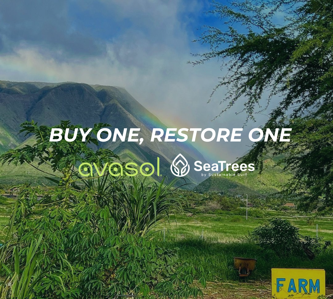 Avasol x Sea Trees: Buy One, Restore One September Campaign