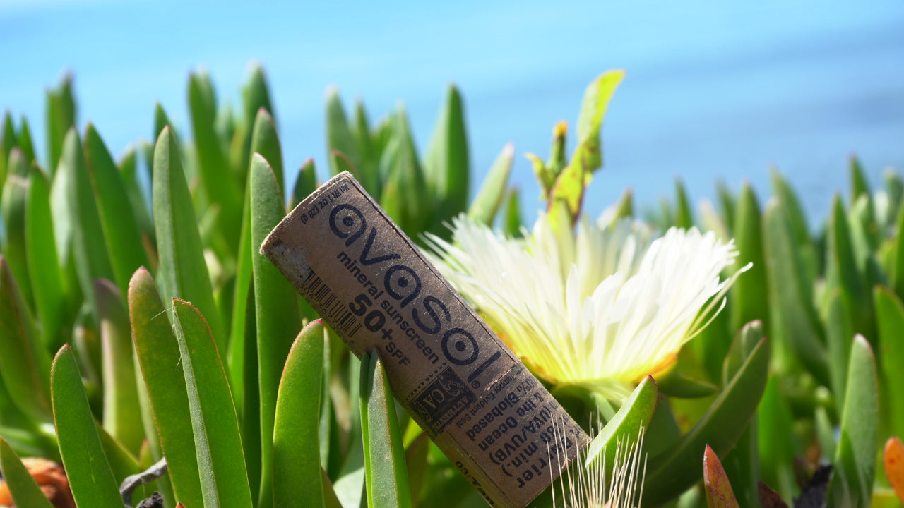 Avasol